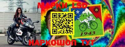 винт Можга