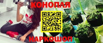кокс Моздок