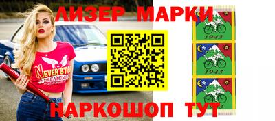СК Бердск