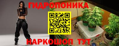 кокс Моздок